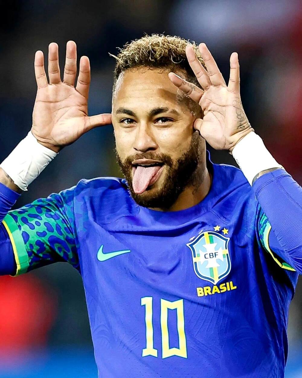 曾经的主要 曾经的主要