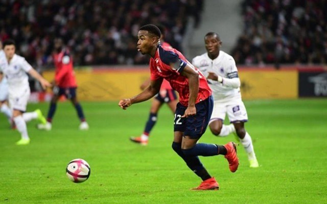 青岛队虽败 青岛队虽败